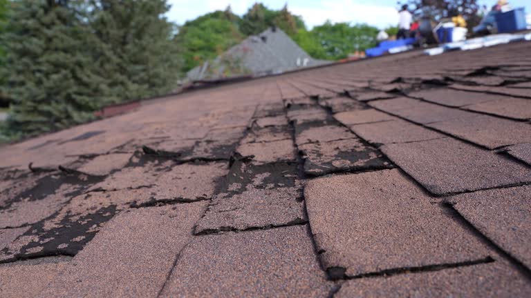 Best Hot Roofs  in Dresser, WI